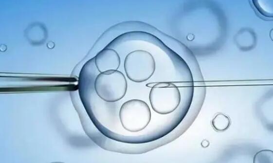 26岁卵巢早衰试管成功率多少？